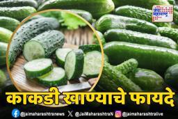 Health Tips : शरीर हायड्रेटेड ठेवण्यासाठी काकडी फायदेशीर