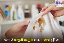 Rust Stain from Clothes Home Remedies: काही मिनिटांत गायब होतील गंजाचे डाग! घरातील फक्त 2 वस्तूंनी मिळवा पहिल्यासारखी चमक