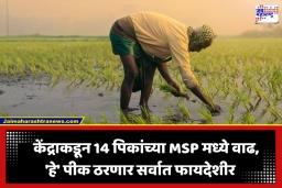 Kharif Crops MSP Hike : शेतकऱ्यांसाठी खुशखबर! 14 खरीप पिकांच्या MSP मध्ये मोठी वाढ; केंद्र सरकारचा ऐतिहासिक निर्णय