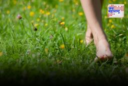 अनवाणी हिरव्यागार गवतावर चालण्याचे अनेक फायदे, जाणून घ्या…