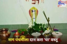 Nag Panchami 2025: धन, सौभाग्य आणि संकटमुक्तीसाठी नाग पंचमीला दान करा ‘या’ वस्तू