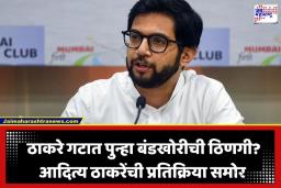 Aditya Thackeray: ठाकरे गटात पुन्हा बंडखोरीची ठिणगी? खासदार फुटणार असल्याच्या चर्चेवर आदित्य ठाकरेंचे मोठे विधान