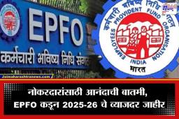 PF Interest Rate: EPFO चा मोठा निर्णय, पीएफ खात्यांवर मिळणार ‘इतका’ व्याजदर