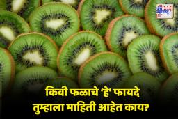 हृदयाच्या आरोग्यासाठी किवी फळ गुणकारी