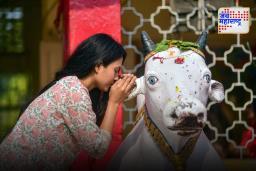 Sawan Shivratri 2025: नंदीच्या कोणत्या कानात बोलल्याने तुमची इच्छा पूर्ण होते?, लगेच शंकरापर्यंत पोहोचेल इच्छा..