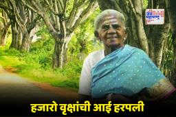 Saalumarada Thimmakka Passed Away : पद्मश्री पर्यावरणवादी सालुमरदा थिम्मक्का यांचे 114 व्या वर्षी निधन