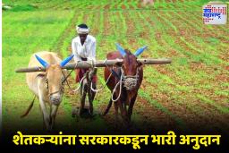 Agriculture Subsidy: राज्य सरकारकडून शेतकऱ्यांना आर्थिक दिलासा; आधुनिक साधनांसाठी कोट्यवधींचा निधी मंजूर