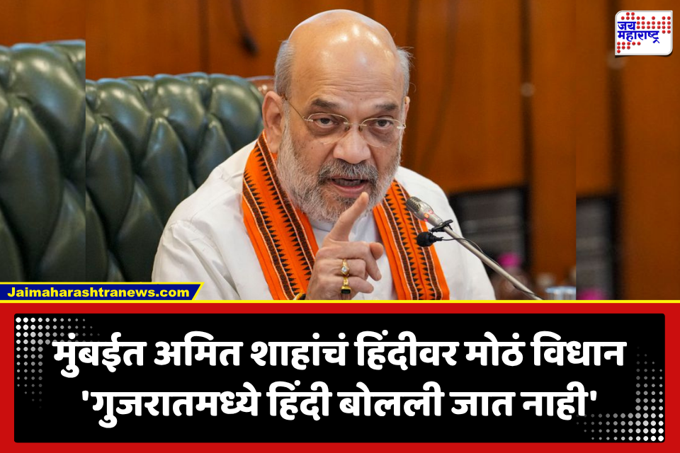 Amit Shah: ‘गुजरातमध्ये हिंदी बोलली जात नाही, गुजरातीच बोलली जाते’; अमित शाहांचं मोठं विधान,  नेमकं काय म्हणाले?