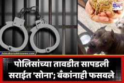 Gold Theft Crime : सोने चोरीचा धक्कादायक प्रकार उघड; गोल्ड लोनची 15 खाती पाहून पोलिसही चक्रावले, 2 किलो सोनं अन् 1 लाखांची रोकड जप्त