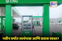 CNG PNG Rates: नवीन वर्षाची सुरूवात दिलासादायक ; सीएनजी-पीएनजी दर कमी होण्याची शक्यता