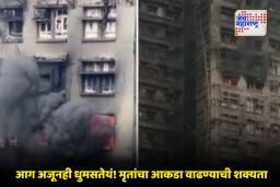 Honkong Fire Tragedy: हॉंगकॉंगमध्ये भीषण आग; मृतांची संख्या 44 वर, शेकडो जण बेपत्ता