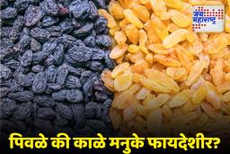 Health Tips: आरोग्यासाठी कोणते मनुके जास्त फायदेशीर?, जाणून घ्या