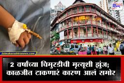 Mumbai Girgaon News : दोन दिवसांपासून उलट्या-जुलाबाने त्रस्त, 15 तासांत 3 वेळा हृदयविकाराचा झटका! दोन वर्षांच्या चिमुरडीची मृत्यूशी झुंज