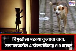 FIR On Doctors : सात वर्षांच्या चिमुरडीला भटक्या कुत्र्याचा चावा, डॉक्टरांच्या निष्काळजीपणामुळे मुलीनं गमावला जीव; रुग्णालयातील 4 डॉक्टरांविरुद्ध FIR दाखल