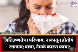 Nose Bleeding: उन्हाळ्यात अचानक नाकातून रक्त येतंय?; घाबरून नका, ‘हे’ उपाय तातडीने करा
