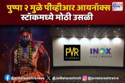 पुष्पा २ चित्रपटामुळे पीव्हीआर आयनॉक्स स्टॉक पुन्हा चर्चेत