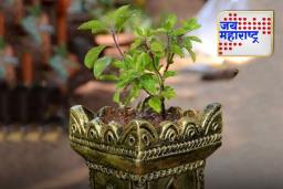 Tulsi Stotra: तुळशी स्तोत्राचे पठण केल्याने मिळतील लाखो तीर्थस्थळांना भेट देण्याचे फायदे, जाणून घ्या…