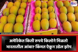 Indian Mangoes In USA: भारताची ‘मँगो डिप्लोमसी’ जोरात! अमेरिकेत किती रुपये किलोने मिळतो भारतातील आंबा?