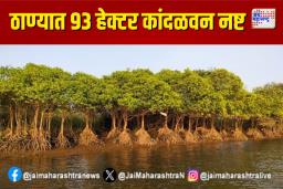 ठाण्यात 93 हेक्टर कांदळवन नष्ट