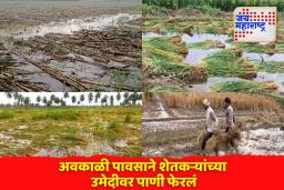 राज्याला अवकाळी पावसाचा तडाखा;  22 हजार 879 हेक्टर क्षेत्राचं मोठं नुकसान