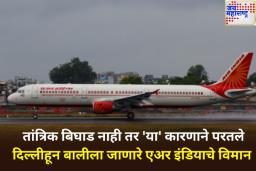 दिल्लीहून बालीला जाणारे एअर इंडियाचे विमान परतले; कंपनीने सांगितले यामागचे खरे कारण