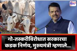 Maharashtra Cow Smuggling Crackdown : गो-तस्करांवर ‘मकोका’ अंतर्गत कारवाई होणार; मुख्यमंत्र्यांचे कडक निर्देश