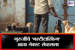 Stray Dogs Teacher Duty:  आता शिक्षक कुत्रे हाकलणार? हातात खडू ऐवजी बिस्किटं अन् काठी, कुत्रे हाकलण्याची अजब जबाबदारी
