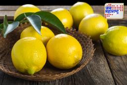 Food combinations to avoid: सावधान! ‘या’ पदार्थांसोबत कधीच खाऊ नका लिंबू; आरोग्यासाठी ठरू शकते अत्यंत घातक
