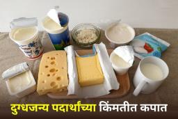 Mother Dairy Milk Price Cut: GST माफीचा ग्राहकांना थेट फायदा! मदर डेअरीकडून दुग्धजन्य उत्पादनांच्या किमतीत कपात
