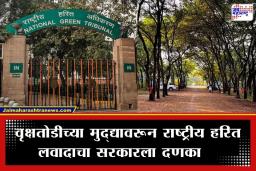 Tapovan Tree Cutting: नाशिकमधील वृक्षतोडीला राष्ट्रीय हरित लवादाची स्थगिती; कुंभमेळ्याच्या विकासकामांना ब्रेक लागण्याची शक्यता