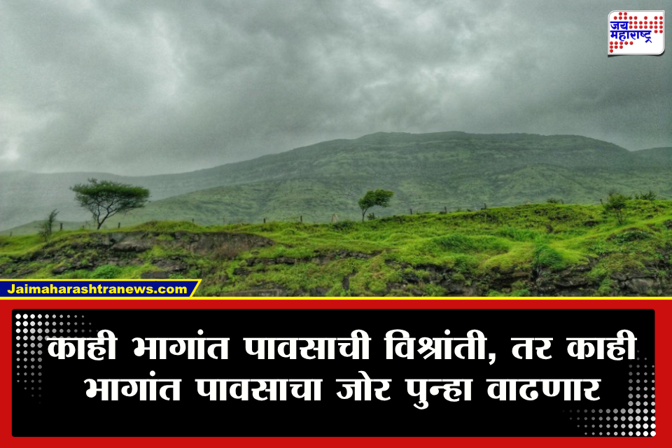 Weather Update: राज्यात पावसाचा जोर पूर्णपणे ओसरला? तरी ‘या’ जिल्ह्यात आज मुसळधार पावसाची शक्यता; हवामान विभागाचा इशारा