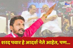 ‘शरद पवार हे आदर्श नेते आहेत, पण…’ एकत्रीकरणाबद्दल आमदार अमोल मिटकरी नेमकं काय म्हणाले?