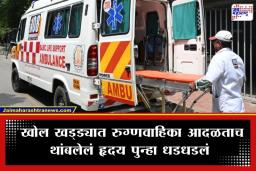 Brain Dead Woman Alive: रुग्णवाहिका खड्ड्यात आदळली अन् ‘ब्रेनडेड’ महिला पुन्हा जिवंत झाली; कुठे घडला विज्ञानाला न पटणारा चमत्कार? वाचा