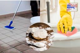 Alum For Bathroom Cleaning: तुरटीची कमाल, अशा पद्धतीने वापरा; बाथरुममधील पिवळे डाग होतील गायब