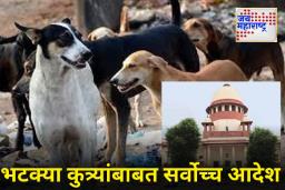 SC order on Stray Dogs : ‘सार्वजनिक ठिकाणांवरून भटक्या कुत्र्यांना ताबडतोब काढा’; सर्वोच्च न्यायालयाचे आदेश