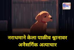 घरात मालक नसताना नराधमाने केला कुत्रीवर अत्याचार; विकृतीची सीमा पार