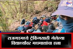 Rajgad Trekkers Accident  : भयंकर! राजगडला ट्रेकिंगसाठी गेलेल्या विद्यार्थ्यांवर मधमाश्यांचा हल्ला; स्थानिकांच्या मदतीने कड्यामध्ये अडकलेली मुलं बचावली