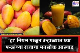 Nutrition in Mangoes : मँगो लव्हर्ससाठी महत्त्वाची बातमी! आंबा खाल्ल्याने वजन वाढतं की घटतं? जाणून घ्या, एका दिवसात किती आंबे खावेत