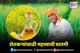 राष्ट्रीय खाद्यतेल अभियानांतर्गत 28 जानेवारीपर्यंत अर्ज करता येणार