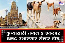 Stray Dogs in Mumbai : मोकाट कुत्र्यांच्या त्रासातून मुंबईकरांची सुटका होणार ; जाणून घ्या, BMC च्या शेल्टर होमचा ‘मेगा प्लॅन’