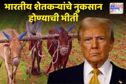 US India Trade: अमेरिकेसोबतचा व्यापार करार शेतकऱ्यांच्या पोटावर पाय?