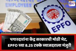 EPF Interest Rate: PF धारकांसाठी गुड न्यूज! आर्थिक वर्ष 2025-26 साठी 8.25 टक्के व्याजदर मंजूर; ‘या’ महिन्यात खात्यात येणार पैसे