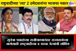 NCP Sunetra Pawar: भाजपच्या नकारामुळे सुनेत्रा पवार यांच्यासमोर मोठा पेच; राज्यसभेच्या एका जागेमुळे मोठे फेरबदल होणार