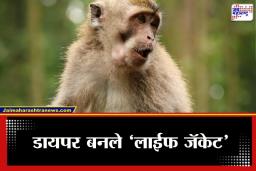 Miracle Baby Rescue : काळ आला होता पण वेळ आली नव्हती! माकडाने 15 दिवसांच्या चिमुरडीला विहिरीत टाकलं, पण ‘डायपर’मुळे वाचला जीव