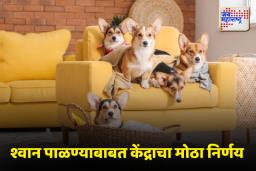 केंद्र सरकारकडून ‘या’ परदेशी ब्रिड्सचे श्वान घरात पाळण्यास बंदी
