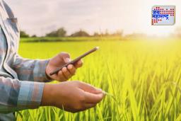 e-Pik Pahani registration : शेतकऱ्यांसाठी मोठी बातमी ! ई-पीक पाहणी नोंदणीबाबत महत्त्वाची अपडेट समोर