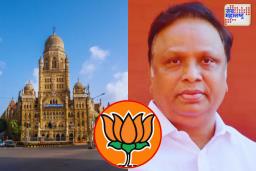 मुंबई महापालिकेसाठी भाजपानं कसली कंबर; शेलारांच्या उपस्थितीत बैठक पार