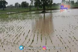 धो धो पावसाने केले नुकसान