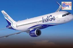 IndiGo Flight Return : मोठा अपघात टळला! पक्षी धडकल्याने नागपूर-कोलकाता इंडिगो विमानाचे आपत्कालीन लँडिंग
