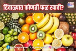 हिवाळ्यात कोणती फळ खावी?